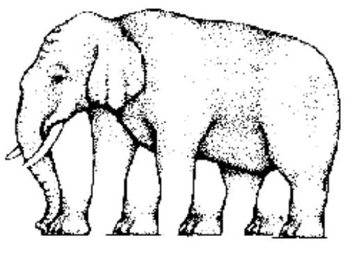 Wie viele Beine hat der Elefant